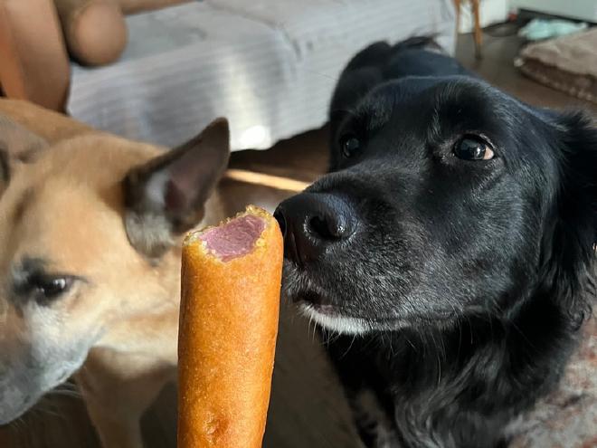 A brown dog and a black dog behind a hand holding a corn dog.