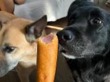 A brown dog and a black dog behind a hand holding a corn dog.